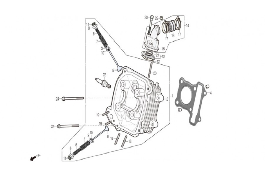 TS 50 DL50 BG YAY SUBAP IC TS 50 DL50 BG YAY SUBAP IC