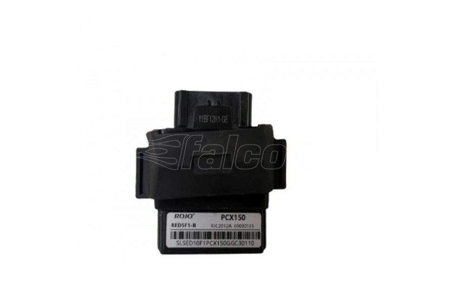 FALCON TREX BEYİN FALCON TREX BEYİN