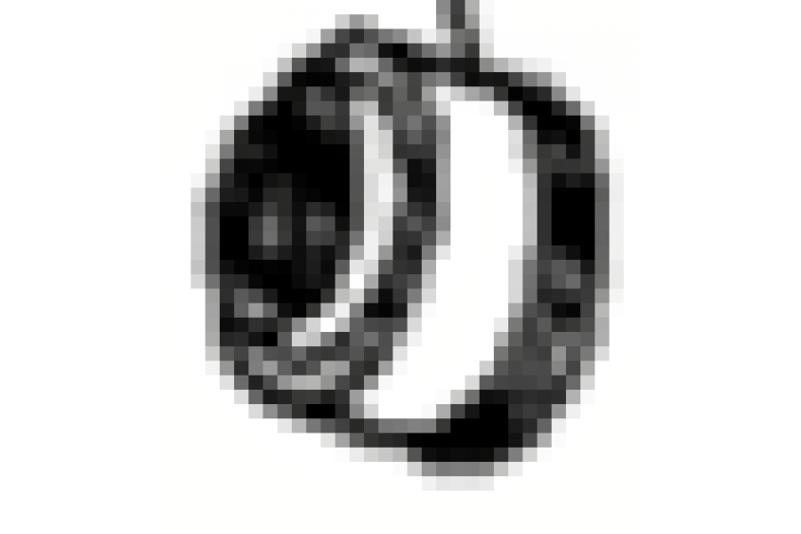 CSN ARREBOL SUBAP KE&Ccedil;ESİ