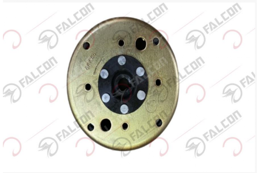 FALCON TURTLE VOLANT