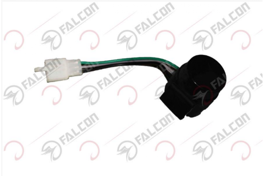 FALCON DOLPHIN 2020 FLAŞ&Ouml;R