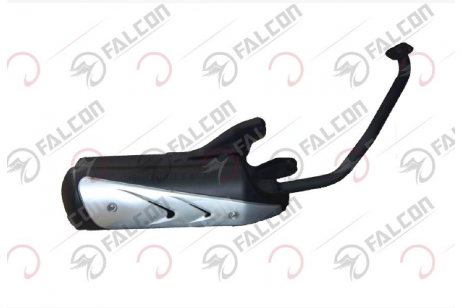 FALCON DOLPHIN 2020 EGZOZ