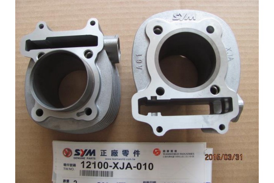 SYM JET 14 200 E5 SILINDIR CIPLAK SYM JET 14 200 E5 SILINDIR CIPLAK