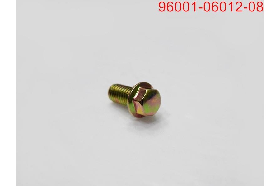 SYM SYMPHONY 125 ST E M6*12 YAG POMPASI CIVATASI SYM SYMPHONY 125 ST E M6*12 YAG POMPASI CIVATASI