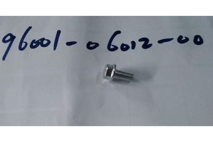 SYM FİDLE 3 125 KRANK KUTUSU CIVATASI M6*16 SYM FİDLE 3 125 KRANK KUTUSU CIVATASI M6*16
