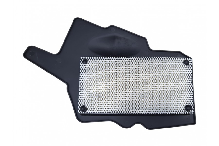 TVS RAİDER 125 HAVA FİLTRE ELEMANI HN