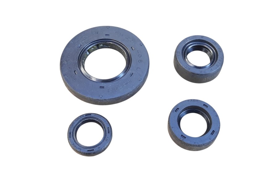 TVS APACHE RTR 200 KE&Ccedil;E SETİ 4 L&Uuml; N9325440 ORJ