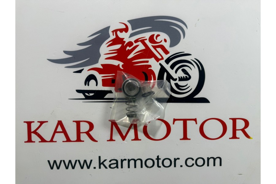 SCOOTER YAĞ FİLTRESİ YAY VE KAPAĞI 4 L&Uuml; SET