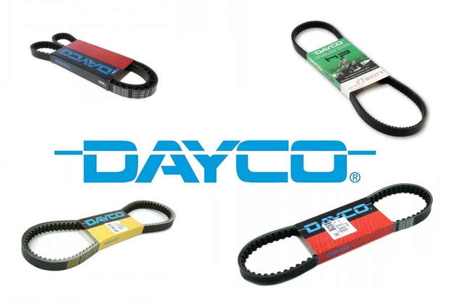 SCHOOTER RİTMO KAYIŞ DAYCO 17-734