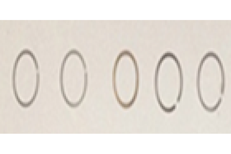 CSN BEAUTY 50 SEGMAN TAKIMI