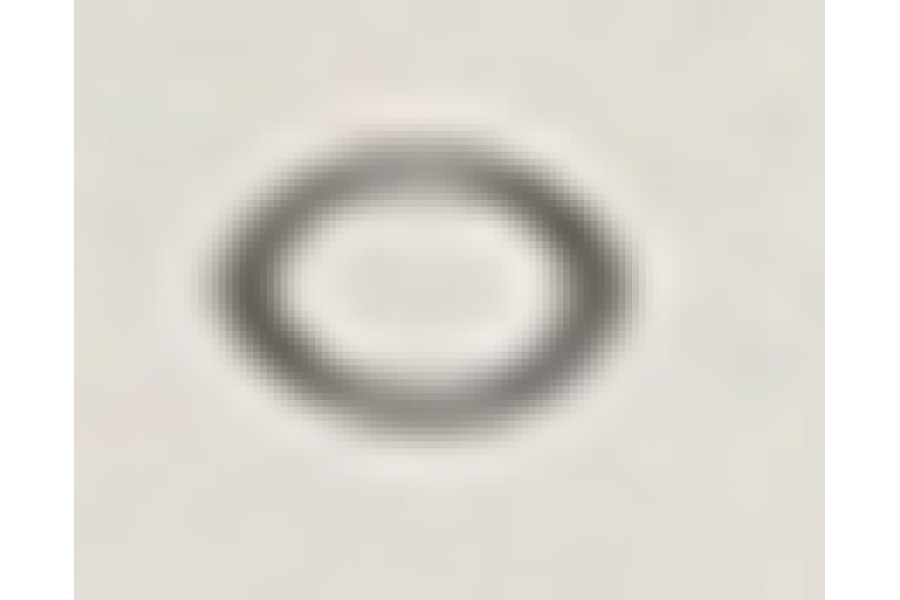 CSN BEAUTY 50 O-RİNG 15.2*1.5