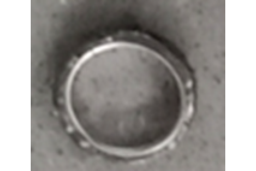 CSN BEAUTY 50 SUSTURUCU CONTASI