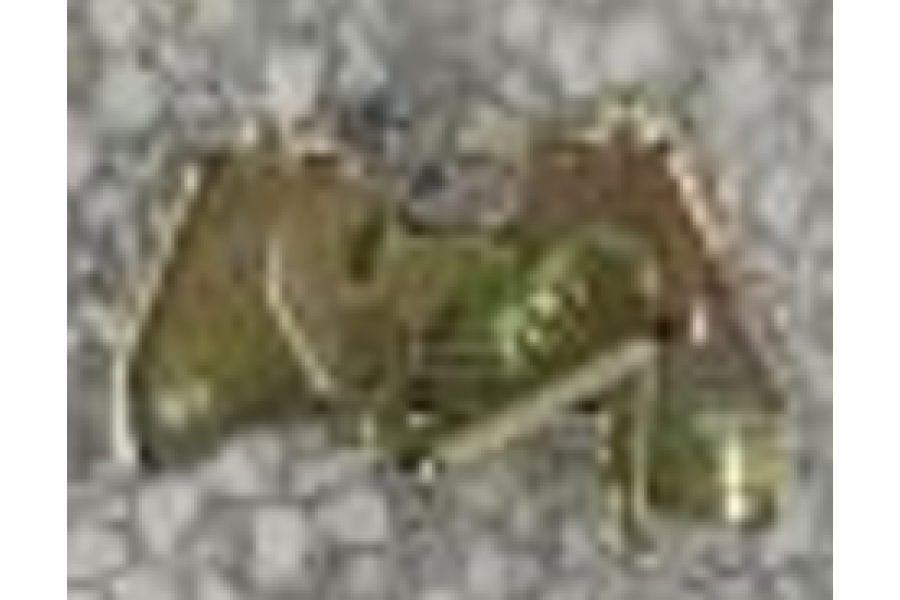 CSN COMFORT 3000W SELE KİLİT