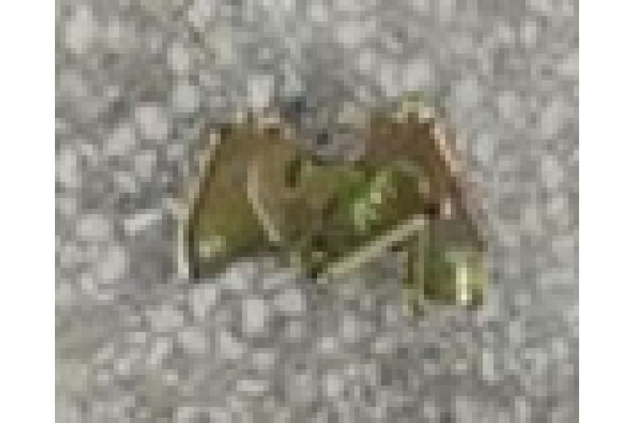 CSN PİGEON 1500 SELE KİLİT PLAKASI CSN PİGEON 1500 SELE KİLİT PLAKASI