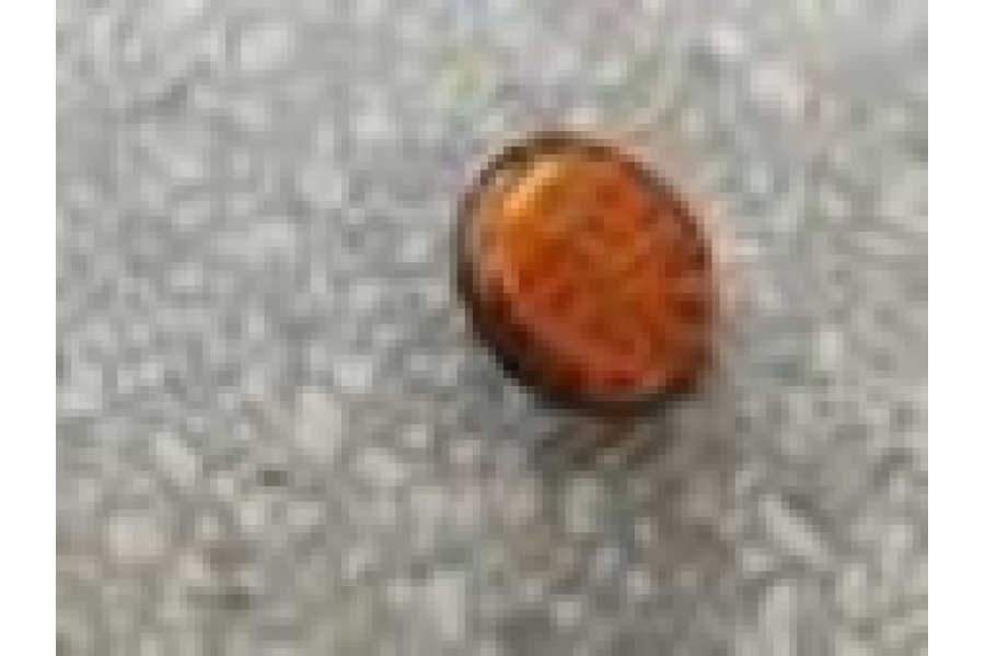 CSN PİGEON 1500 YAN REFLEKTÖR CSN PİGEON 1500 YAN REFLEKTÖR