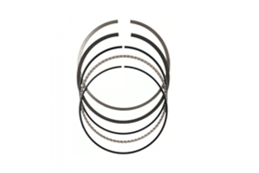 CSN PLUTON 50 SEGMAN TAKIM