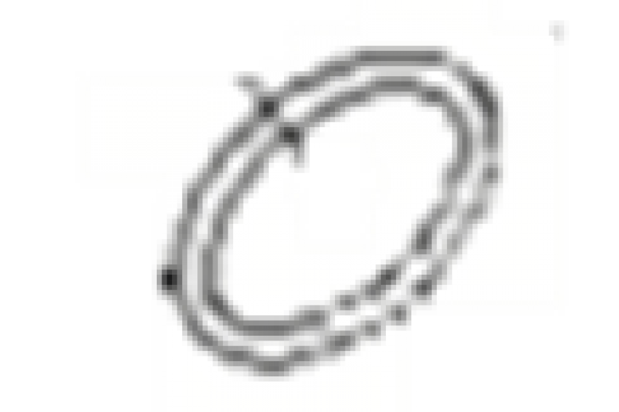 CSN FELİCİTY 125 O RİNG 30.5x3.0