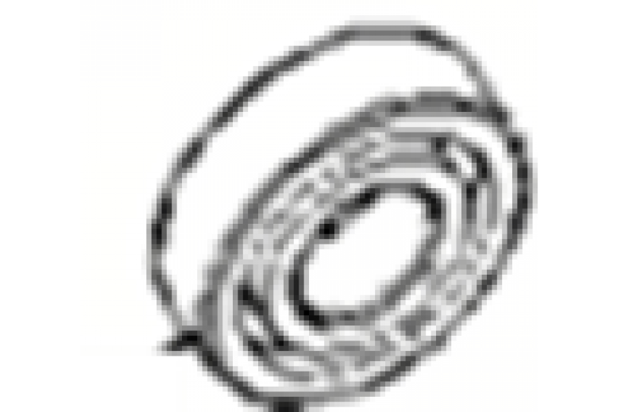 CSN FELİCİTY 125 RULMAN 6204