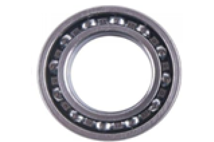 CSN PRO 50 TEL JANT RULMAN 6001