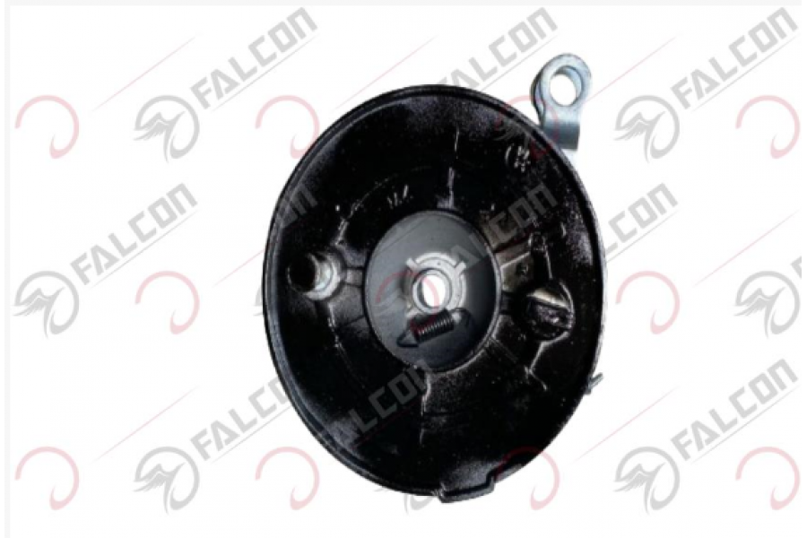 FALCON GYPS 249  ARKA KAMPANA 