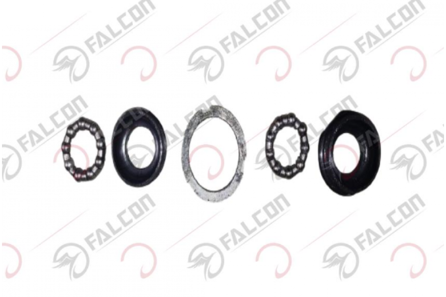 FALCON GYPS 249  FUR&Ccedil; TAKIMI 