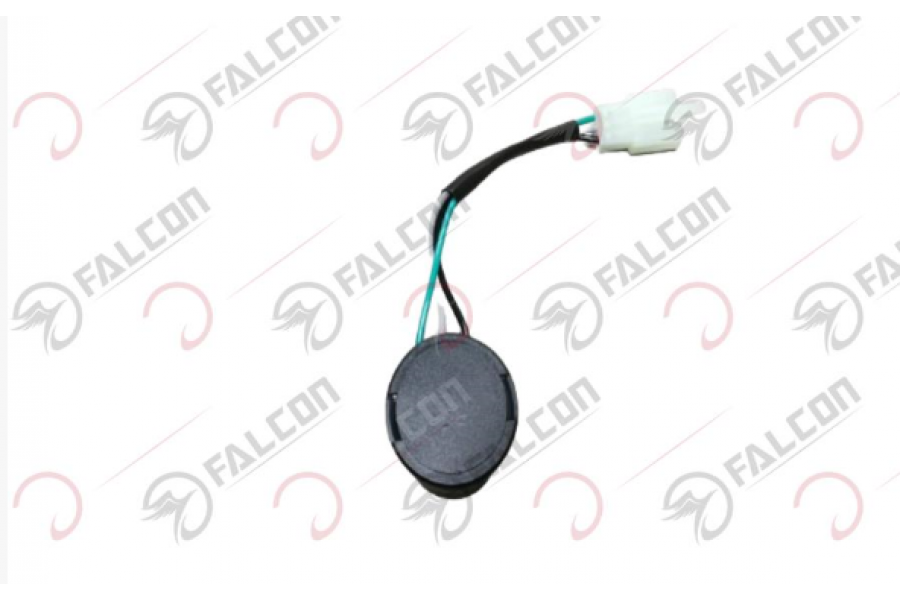 FALCON GYPS 249  FLAŞ&Ouml;R 