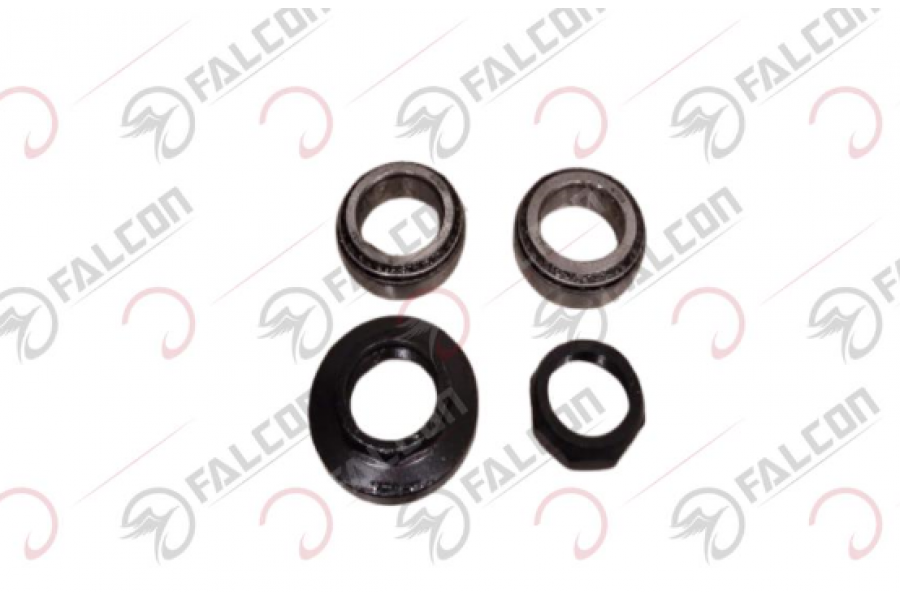 FALCON JULIA FURÇ TAKIMI FALCON JULIA FURÇ TAKIMI