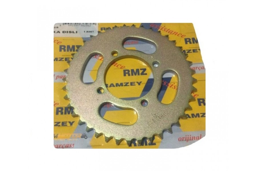 RAMZEY 125T 8A ARKA DİŞLİ 428-41T